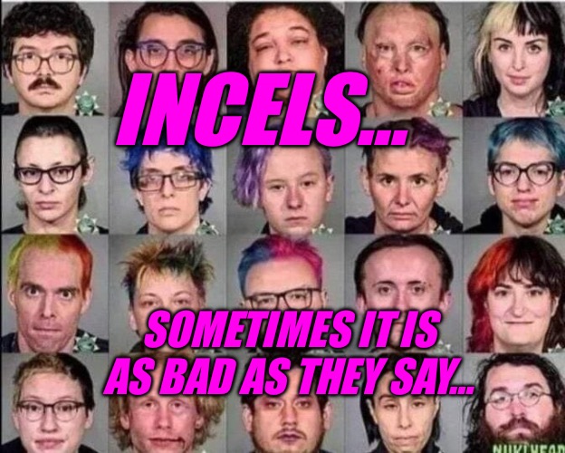 Incel Army |  INCELS…; SOMETIMES IT IS AS BAD AS THEY SAY… | image tagged in incels,antifa,terrorism,cultural marxism,cucks,incel | made w/ Imgflip meme maker
