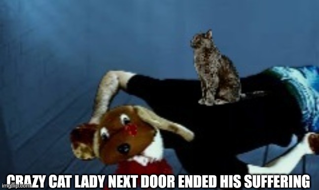 CRAZY CAT LADY NEXT DOOR ENDED HIS SUFFERING | made w/ Imgflip meme maker