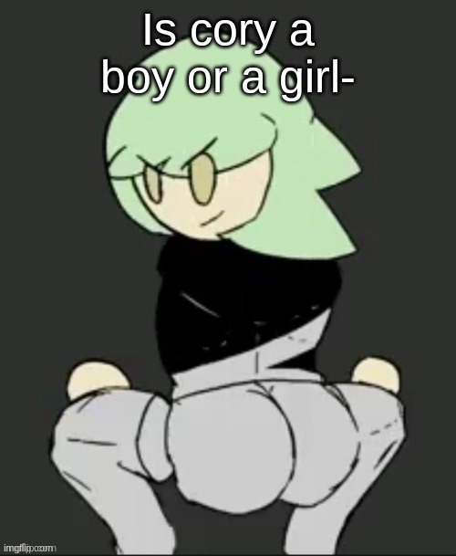 This is for a drawing I have to do so tell me | Is cory a boy or a girl- | image tagged in thicc cory | made w/ Imgflip meme maker