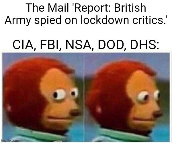 US Alphabet Agencies: 'The Audacity' | The Mail 'Report: British Army spied on lockdown critics.'; CIA, FBI, NSA, DOD, DHS: | image tagged in memes,monkey puppet,covid,coronavirus,covid19,spying | made w/ Imgflip meme maker