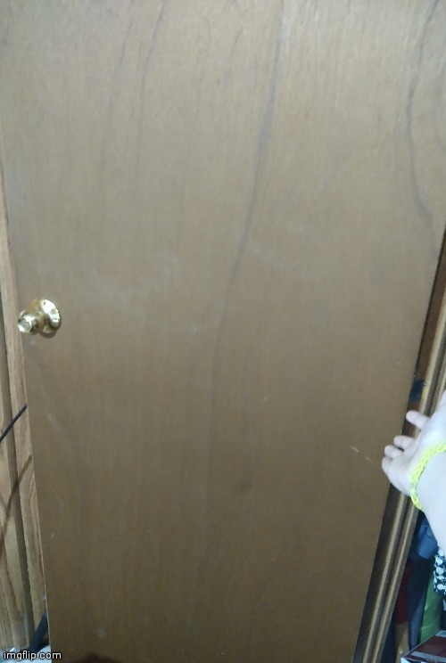 I am going to marry this door (later) | made w/ Imgflip meme maker