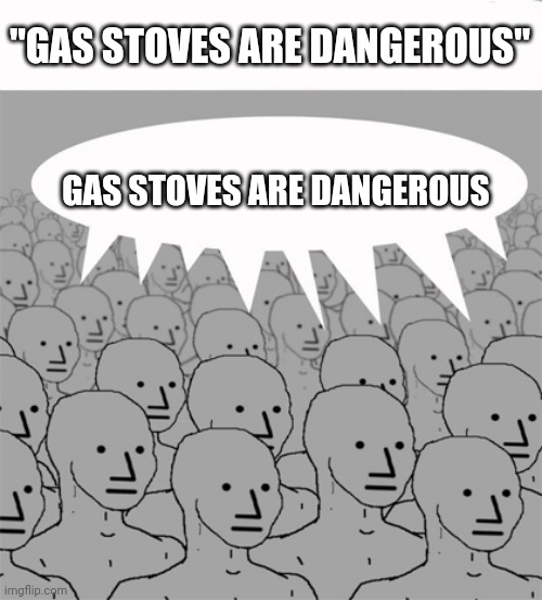 NPCProgramScreed | "GAS STOVES ARE DANGEROUS"; GAS STOVES ARE DANGEROUS | image tagged in npcprogramscreed | made w/ Imgflip meme maker