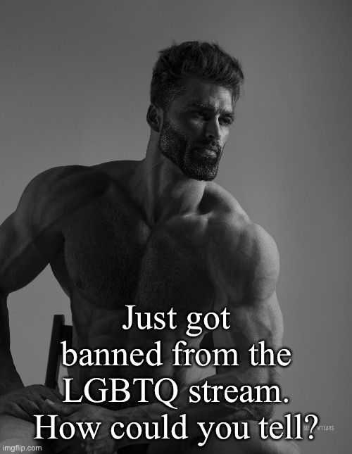 Giga Chad | Just got banned from the LGBTQ stream. How could you tell? | image tagged in giga chad | made w/ Imgflip meme maker