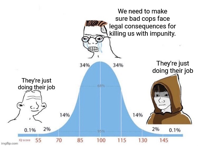1312 | We need to make sure bad cops face legal consequences for killing us with impunity. They're just doing their job; They're just doing their job | image tagged in bell curve | made w/ Imgflip meme maker