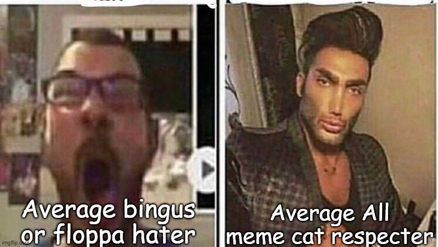 All memecats are good | Average bingus or floppa hater; Average All meme cat respecter | image tagged in average fan vs average enjoyer,bingus,floppa,memes | made w/ Imgflip meme maker