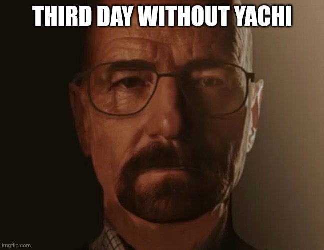 Saul Goodman but it’s Walter white | THIRD DAY WITHOUT YACHI | image tagged in saul goodman but it s walter white | made w/ Imgflip meme maker
