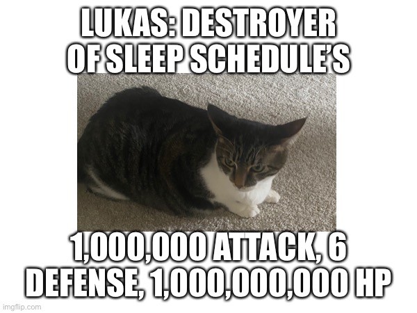 Day 1 of me trying to restore IMGflip boss fights (and yes this is my real life cat) | LUKAS: DESTROYER OF SLEEP SCHEDULE’S; 1,000,000 ATTACK, 6 DEFENSE, 1,000,000,000 HP | image tagged in boss | made w/ Imgflip meme maker