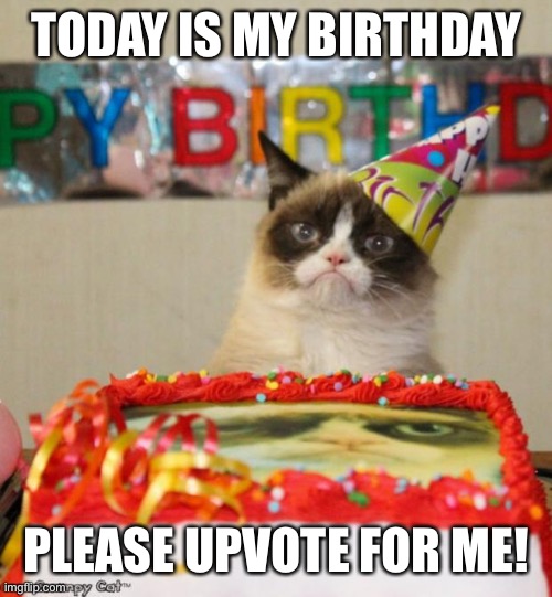 Today is my Birthday! | TODAY IS MY BIRTHDAY; PLEASE UPVOTE FOR ME! | image tagged in memes,grumpy cat birthday,grumpy cat,happy birthday,begging for upvotes,fishing for upvotes | made w/ Imgflip meme maker