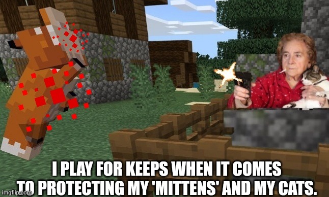 I PLAY FOR KEEPS WHEN IT COMES TO PROTECTING MY 'MITTENS' AND MY CATS. | made w/ Imgflip meme maker
