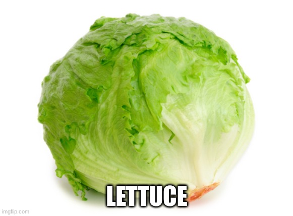 I have no idea why I am posting this | LETTUCE | image tagged in lettuce | made w/ Imgflip meme maker