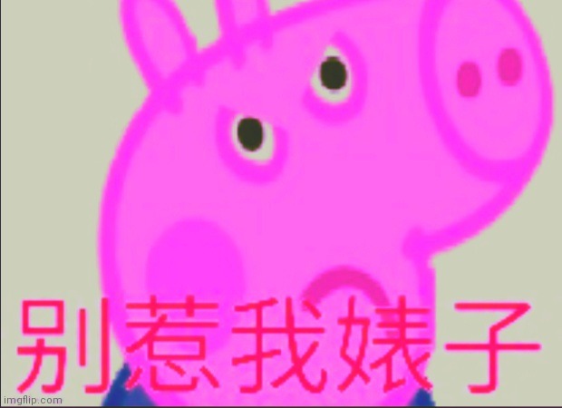 Chinese George Pig | image tagged in chinese george pig | made w/ Imgflip meme maker