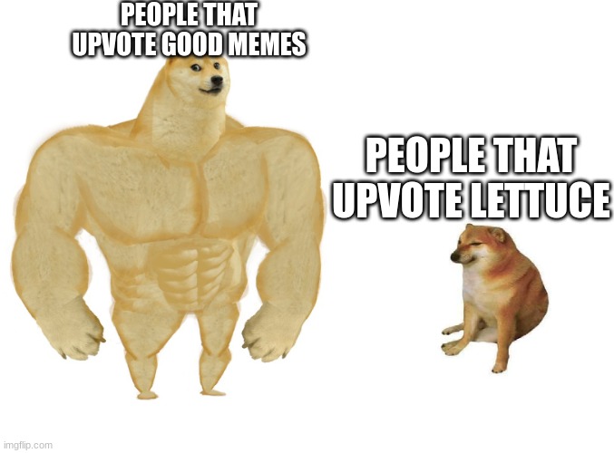 So True | PEOPLE THAT UPVOTE GOOD MEMES; PEOPLE THAT UPVOTE LETTUCE | image tagged in big dog small dog | made w/ Imgflip meme maker