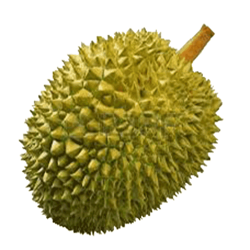 High Quality Durian. Blank Meme Template