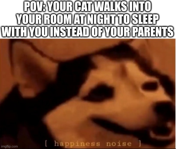 I wuv my sweet baby kitty:3 | POV: YOUR CAT WALKS INTO YOUR ROOM AT NIGHT TO SLEEP WITH YOU INSTEAD OF YOUR PARENTS | image tagged in hapiness noise | made w/ Imgflip meme maker
