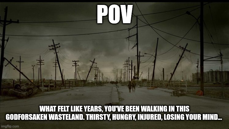 wasteland 2 | POV; WHAT FELT LIKE YEARS, YOU'VE BEEN WALKING IN THIS GODFORSAKEN WASTELAND. THIRSTY, HUNGRY, INJURED, LOSING YOUR MIND... | image tagged in wasteland 2 | made w/ Imgflip meme maker