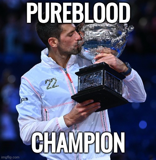 The best in the world. | PUREBLOOD; CHAMPION | image tagged in memes | made w/ Imgflip meme maker