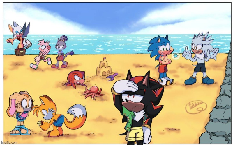 The Sonic Gang at the Beach | made w/ Imgflip meme maker