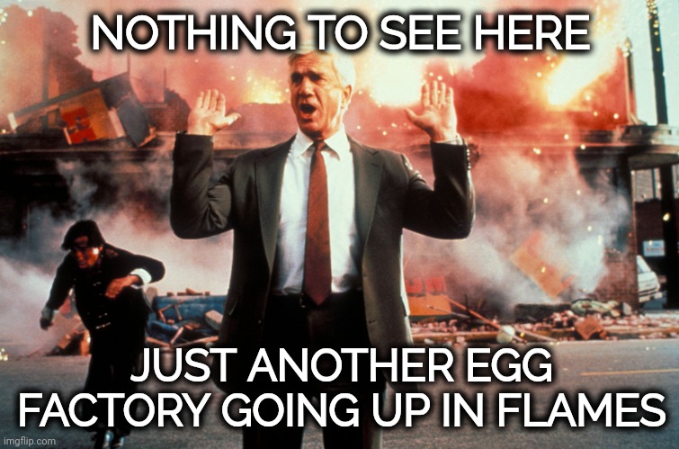 I guess they really don't want us eating eggs. | NOTHING TO SEE HERE; JUST ANOTHER EGG FACTORY GOING UP IN FLAMES | image tagged in nothing to see here | made w/ Imgflip meme maker