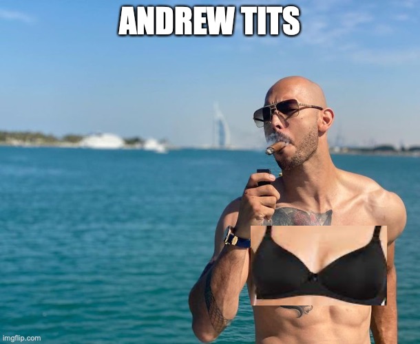 Andrew its | ANDREW TITS | image tagged in andrew tate,lol,funny,meme | made w/ Imgflip meme maker