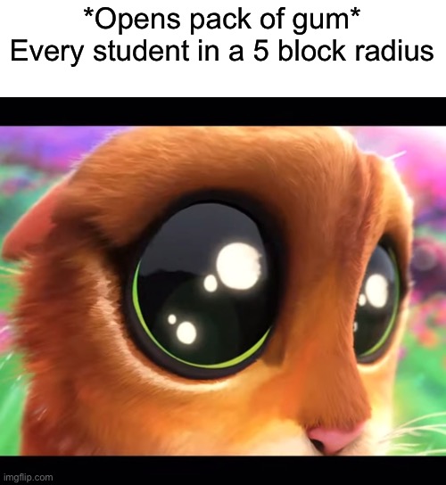 puss stare | *Opens pack of gum*
Every student in a 5 block radius | image tagged in puss stare | made w/ Imgflip meme maker