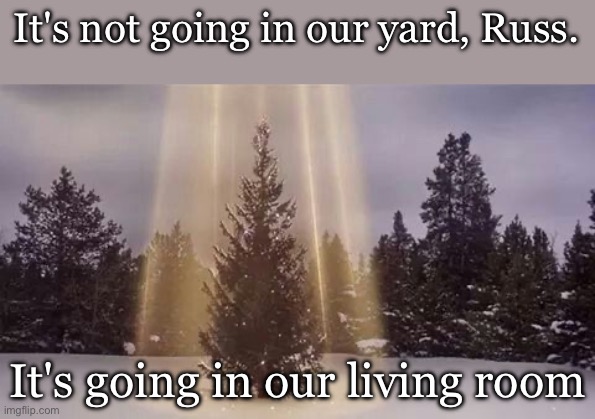 Christmas tree | It's not going in our yard, Russ. It's going in our living room | image tagged in christmas vacation,national lampoon,tree,christmas tree | made w/ Imgflip meme maker