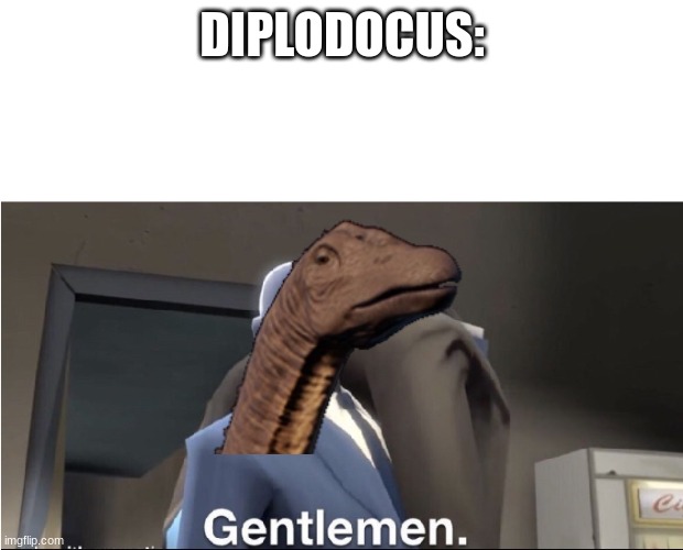 Meet the Spy | DIPLODOCUS: | image tagged in meet the spy | made w/ Imgflip meme maker