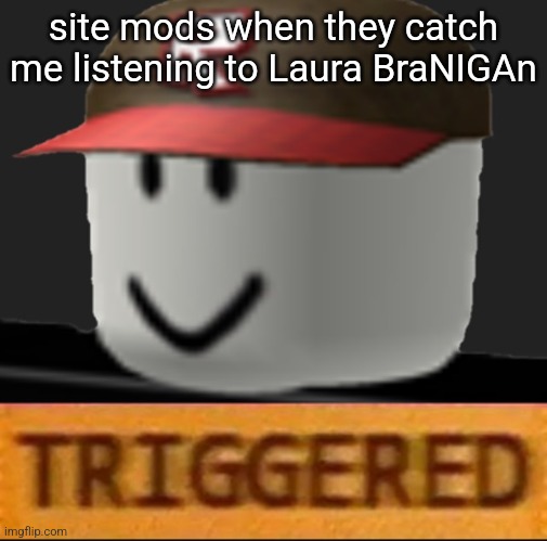 Roblox Triggered | site mods when they catch me listening to Laura BraNIGAn | image tagged in roblox triggered | made w/ Imgflip meme maker