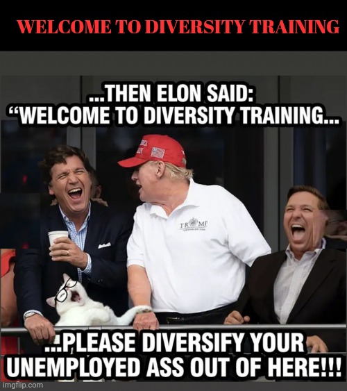 Welcome To Diversity Training |  ...THEN ELON SAID: 
"WELCOME TO DIVERSITY TRAINING... WELCOME TO DIVERSITY TRAINING; ...PLEASE DIVERSIFY YOUR UNEMPLOYED ASS OUT OF HERE!!! | image tagged in elon musk,cat,turd,donald trump,diversity,training | made w/ Imgflip meme maker