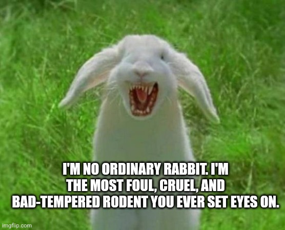 I'M NO ORDINARY RABBIT. I'M THE MOST FOUL, CRUEL, AND BAD-TEMPERED RODENT YOU EVER SET EYES ON. | image tagged in killer bunny | made w/ Imgflip meme maker