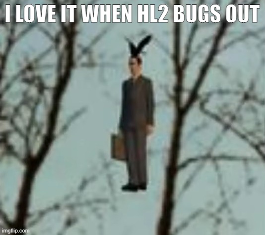 especially on my school computer | I LOVE IT WHEN HL2 BUGS OUT | made w/ Imgflip meme maker