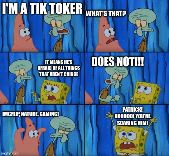 tik tok is the ultimate source of cringe | WHAT'S THAT? I'M A TIK TOKER; IT MEANS HE'S AFRAID OF ALL THINGS THAT AREN'T CRINGE; DOES NOT!!! PATRICK! NOOOOO! YOU'RE SCARING HIM! IMGFLIP, NATURE, GAMING! | image tagged in stop it patrick you're scaring him correct text boxes | made w/ Imgflip meme maker