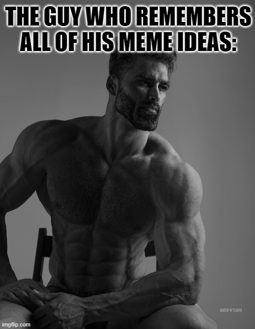 not me :( | THE GUY WHO REMEMBERS ALL OF HIS MEME IDEAS: | image tagged in giga chad,memes,fun,ideas,meme ideas,chad | made w/ Imgflip meme maker