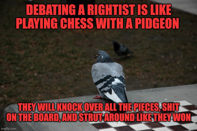 Playing chess with a pigeon | DEBATING A RIGHTIST IS LIKE PLAYING CHESS WITH A PIDGEON THEY WILL KNOCK OVER ALL THE PIECES, SHIT ON THE BOARD, AND STRUT AROUND LIKE THEY  | image tagged in playing chess with a pigeon | made w/ Imgflip meme maker