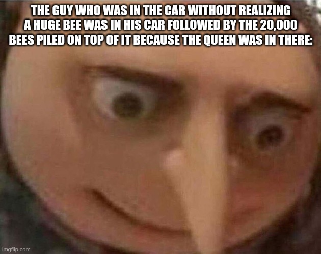gru meme | THE GUY WHO WAS IN THE CAR WITHOUT REALIZING A HUGE BEE WAS IN HIS CAR FOLLOWED BY THE 20,000 BEES PILED ON TOP OF IT BECAUSE THE QUEEN WAS  | image tagged in gru meme | made w/ Imgflip meme maker