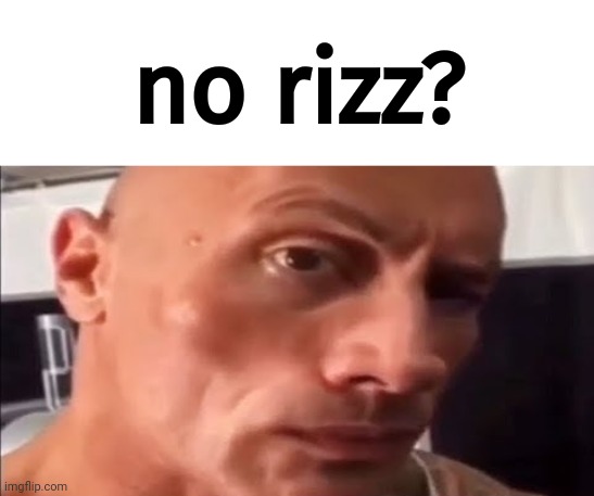 the rock eyebrow | no rizz? | image tagged in the rock eyebrow | made w/ Imgflip meme maker