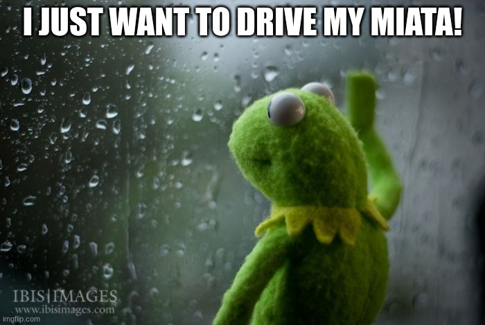 Drive Miata | I JUST WANT TO DRIVE MY MIATA! | image tagged in kermit window | made w/ Imgflip meme maker