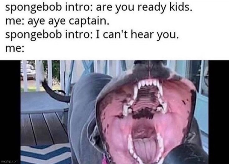 image tagged in memes,funny | made w/ Imgflip meme maker