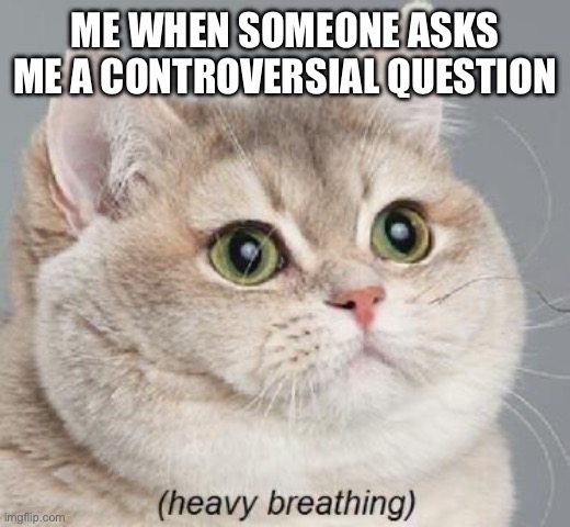 Controversial question | ME WHEN SOMEONE ASKS ME A CONTROVERSIAL QUESTION | image tagged in memes,heavy breathing cat | made w/ Imgflip meme maker