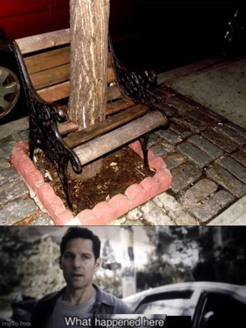 Bench tree | image tagged in what happened here,bench,tree,you had one job,memes,chair | made w/ Imgflip meme maker