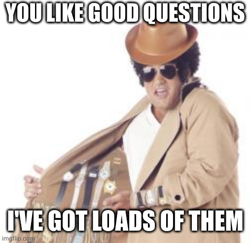 Trenchcoat Salesman | YOU LIKE GOOD QUESTIONS I'VE GOT LOADS OF THEM | image tagged in trenchcoat salesman | made w/ Imgflip meme maker
