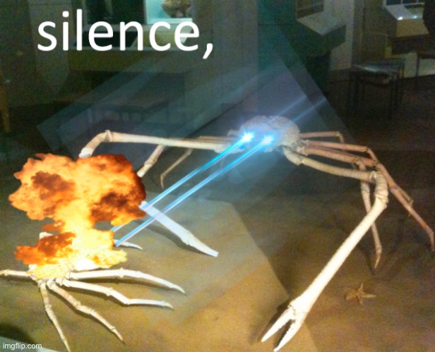 Silence Crab | image tagged in silence crab,memes,crab,funny,silence,comments | made w/ Imgflip meme maker