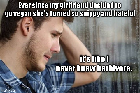 Showering sorrows man | Ever since my girlfriend decided to go vegan she's turned so snippy and hateful; it's like I never knew herbivore. | image tagged in showering sorrows man,girlfriend,relationships,vegans,puns | made w/ Imgflip meme maker