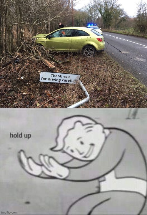 ah okay | image tagged in fallout hold up,irony,wait what,hold up | made w/ Imgflip meme maker