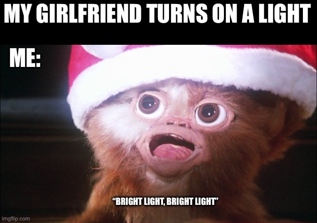 When Your Girlfriend Turns On A Bright Light | MY GIRLFRIEND TURNS ON A LIGHT; ME:; “BRIGHT LIGHT, BRIGHT LIGHT” | image tagged in gizmo bright light,gremlins,gizmo,too bright,bright light | made w/ Imgflip meme maker