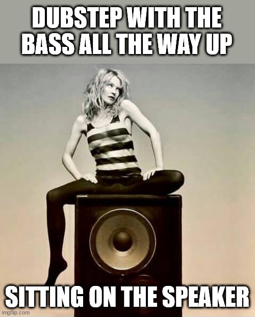 Kylie speakers | DUBSTEP WITH THE BASS ALL THE WAY UP; SITTING ON THE SPEAKER | image tagged in kylie speakers | made w/ Imgflip meme maker