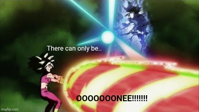 Ultra Instinct Goku Kamehameha | There can only be.. OOOOOOONEE!!!!!!! | image tagged in ultra instinct goku kamehameha | made w/ Imgflip meme maker