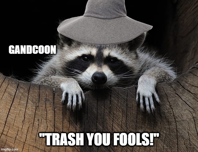 Gandalf racoon | GANDCOON; "TRASH YOU FOOLS!" | image tagged in lotr,gandalf,lord of the rings,trash | made w/ Imgflip meme maker