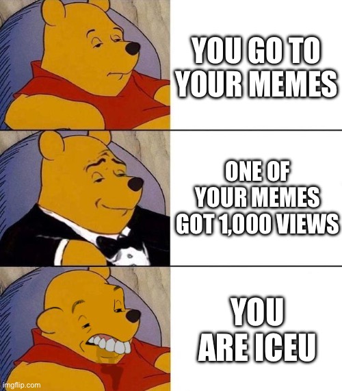 . | YOU GO TO YOUR MEMES; ONE OF YOUR MEMES GOT 1,000 VIEWS; YOU ARE ICEU | image tagged in pie charts,boardroom meeting suggestion,quotes | made w/ Imgflip meme maker