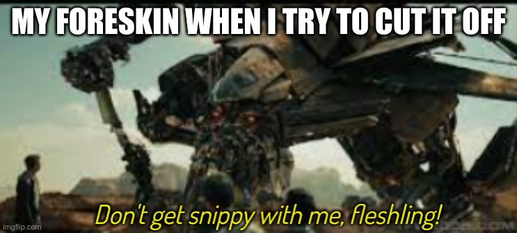 Jetfire don't get snippy with me fleshling | MY FORESKIN WHEN I TRY TO CUT IT OFF | image tagged in jetfire don't get snippy with me fleshling | made w/ Imgflip meme maker