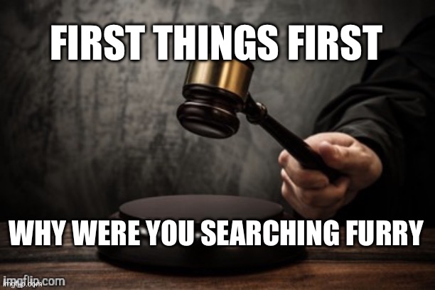 Court | FIRST THINGS FIRST WHY WERE YOU SEARCHING FURRY | image tagged in court | made w/ Imgflip meme maker